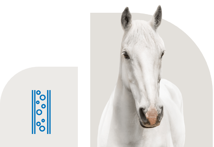 bild hoeveler sortiment supplemente stoffwechsel